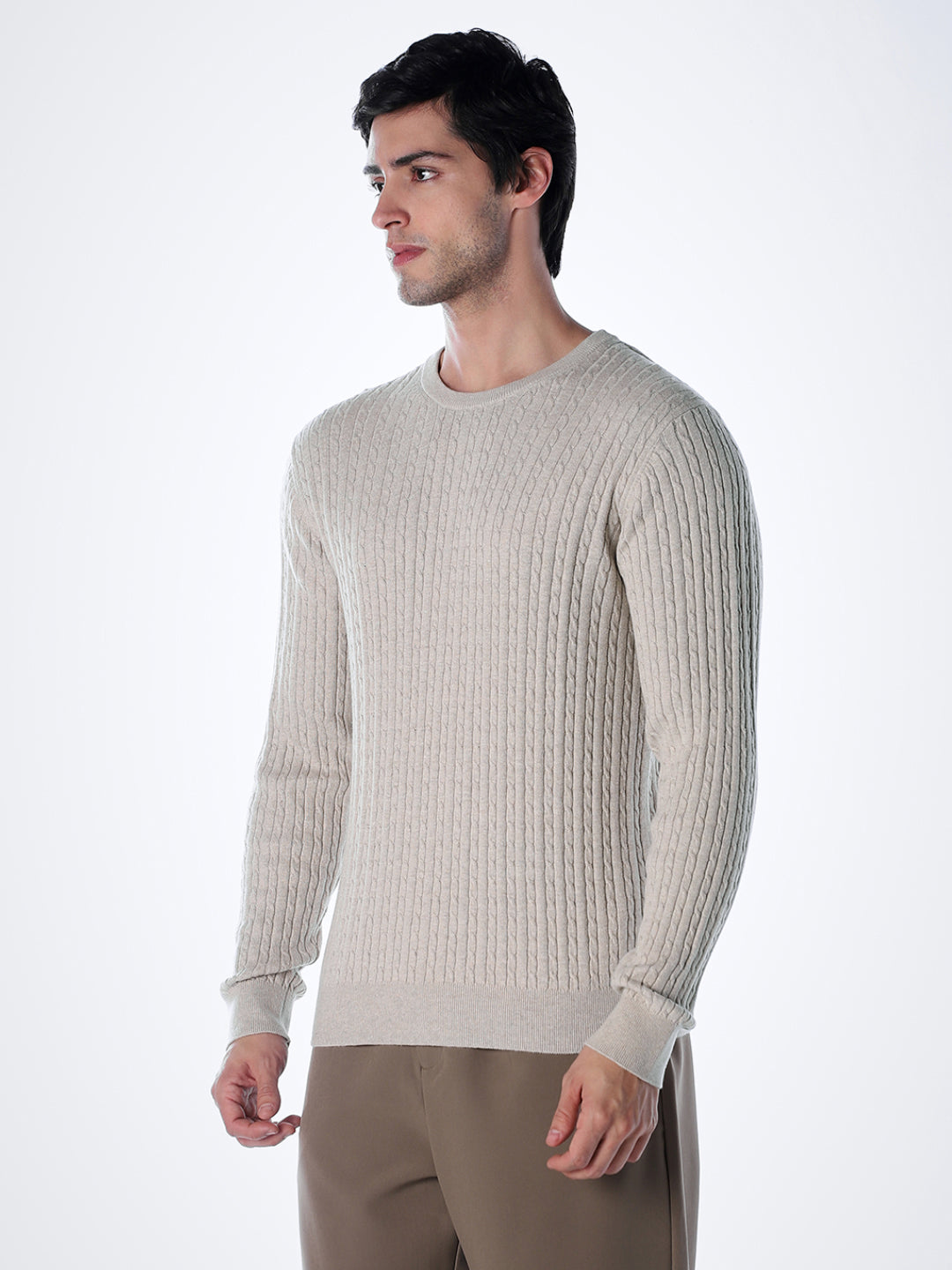 Beige Slim Fit Pullover