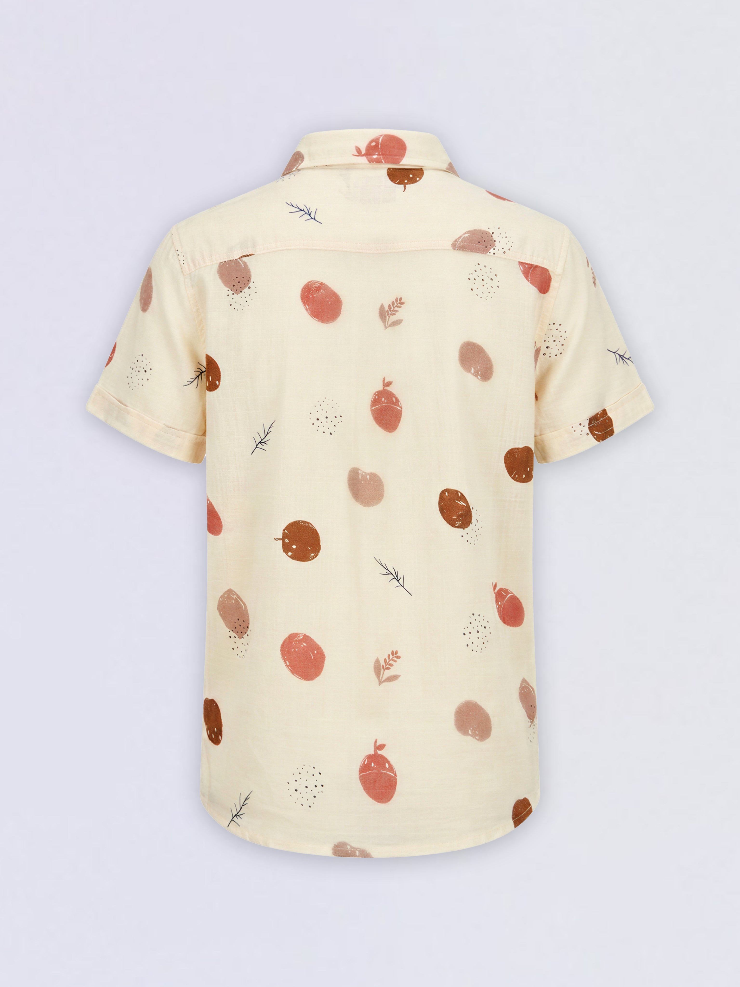 Boys Printed Short Sleeves Shirt
