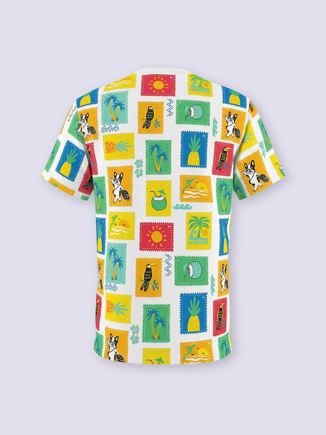 Boys Multi-Colour Printed T-shirt