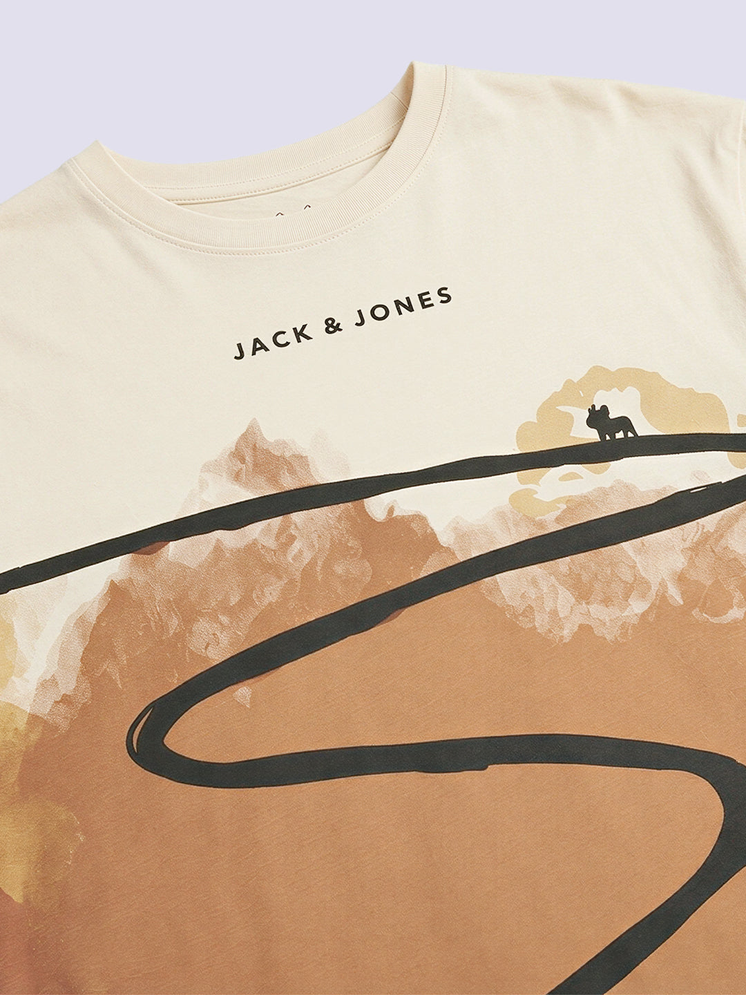 Boys Cream Printed Oversized T-shirt