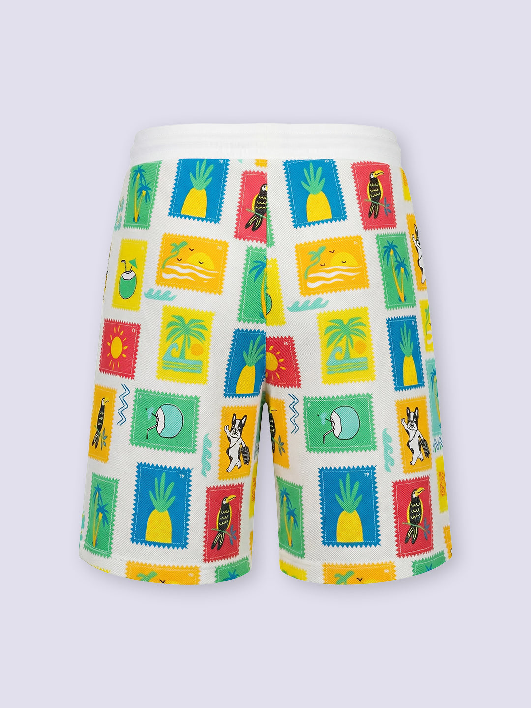 Boys Multi-Colour Printed Shorts