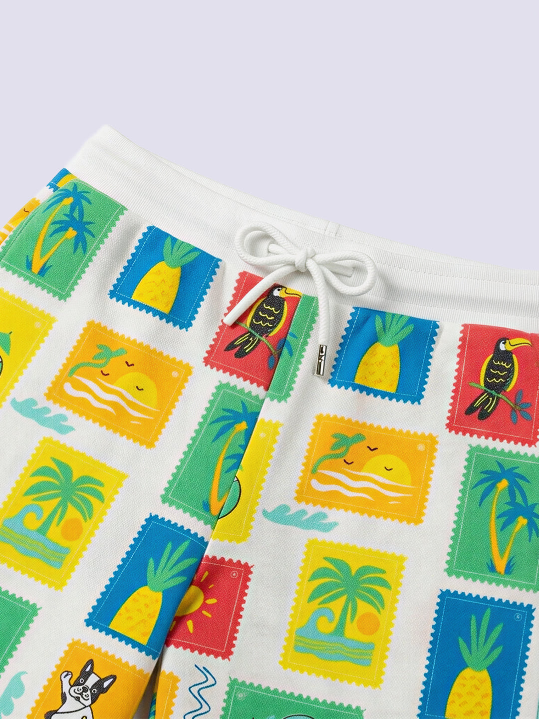 Boys Multi-Colour Printed Shorts