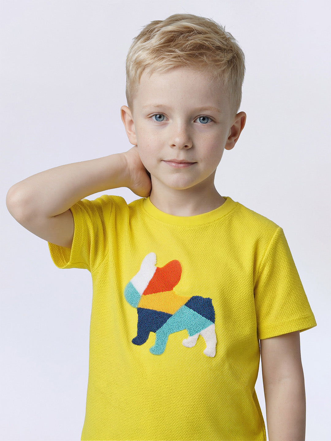 Boys Yellow Embroidered Doggo Print T-short - 4/5Y