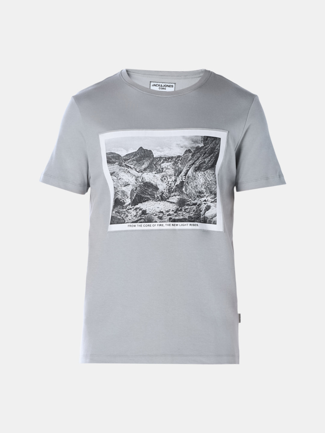 Grey Printed Crew Neck T-shirt