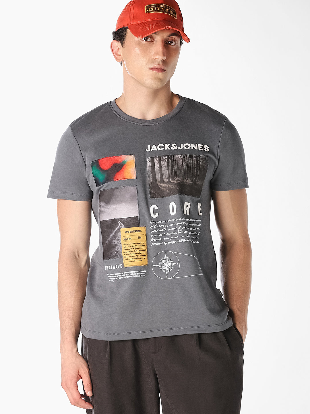 Grey Graphic Print T-Shirt