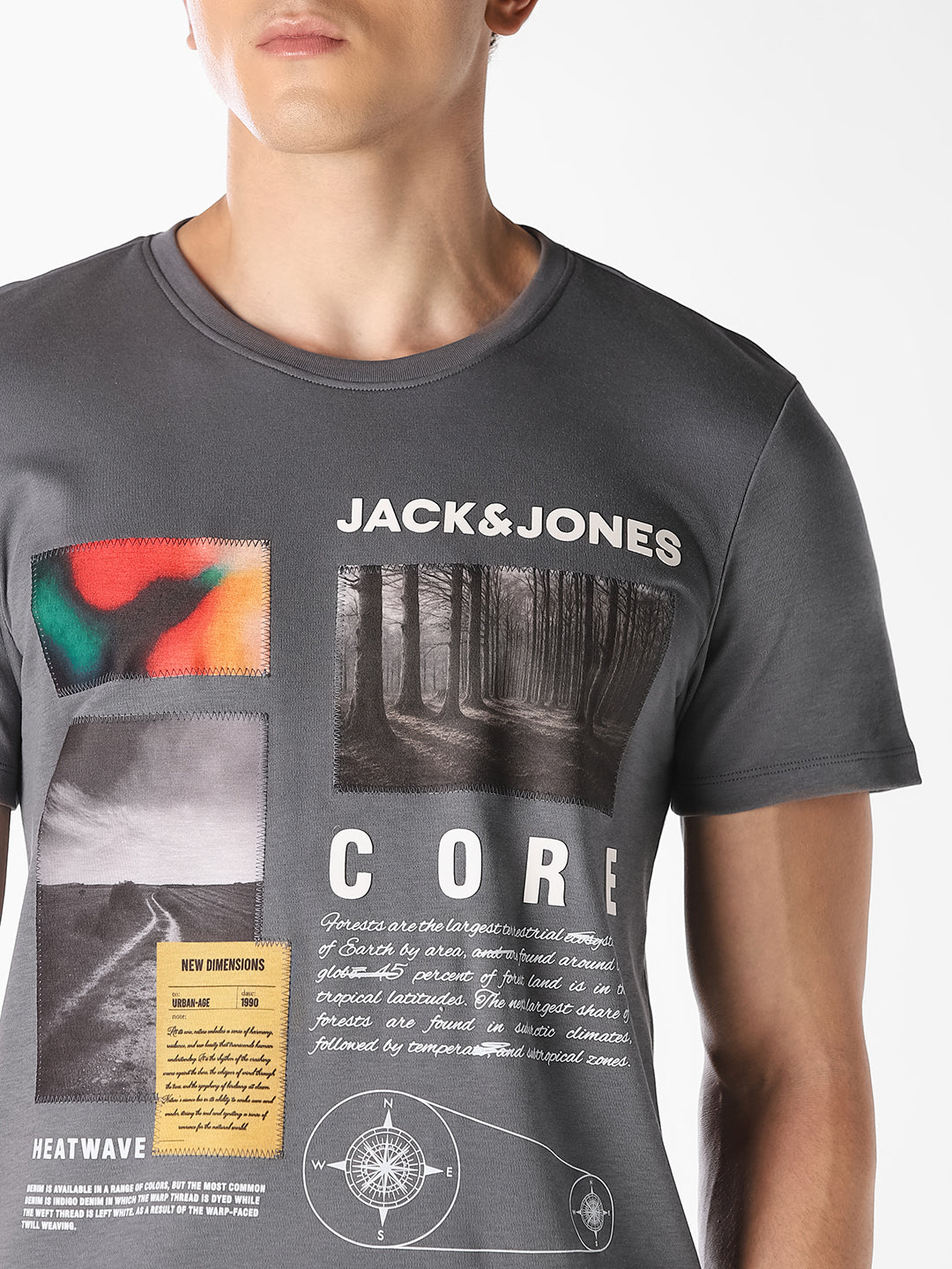 Grey Graphic Print T-Shirt