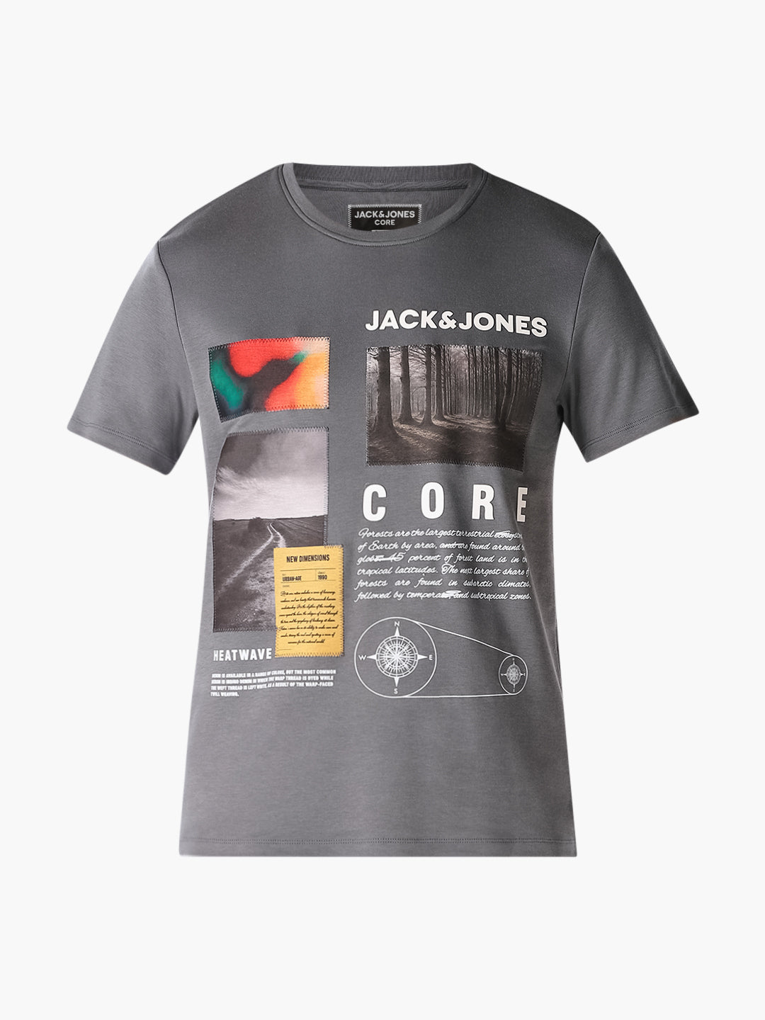 Grey Graphic Print T-Shirt