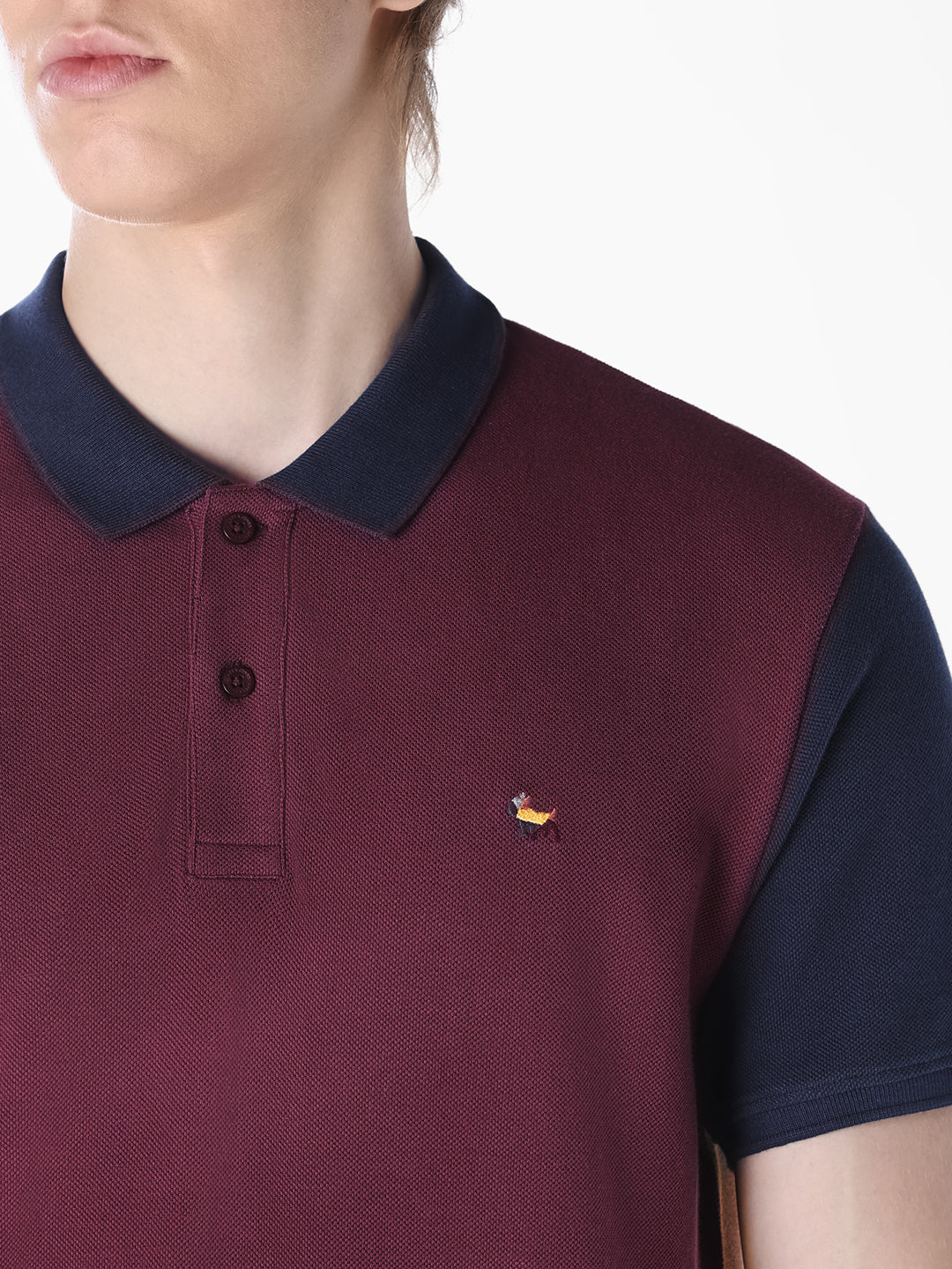 Colourblocked Regular Fit Polo