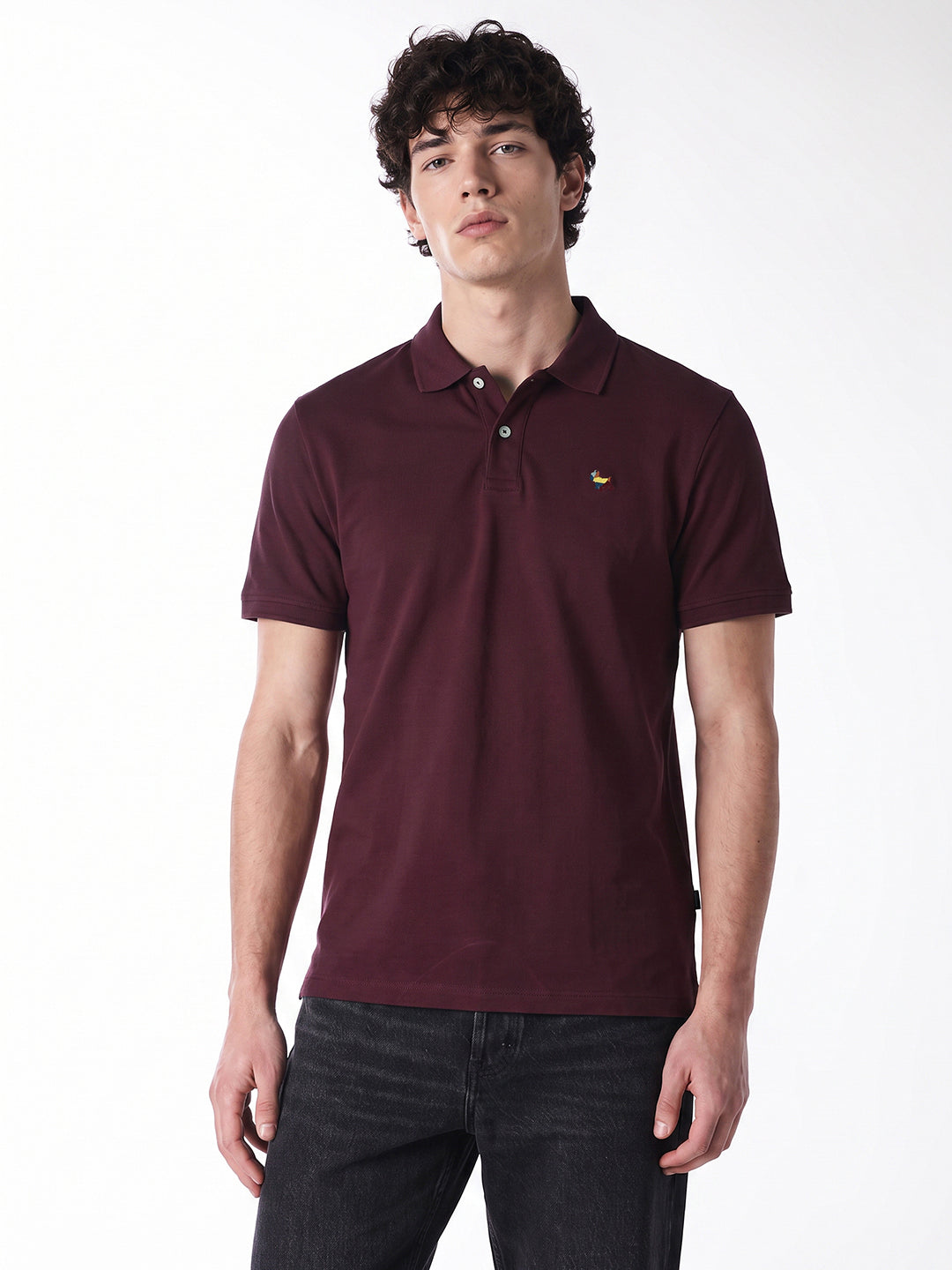 Burgundy Embroidered Polo