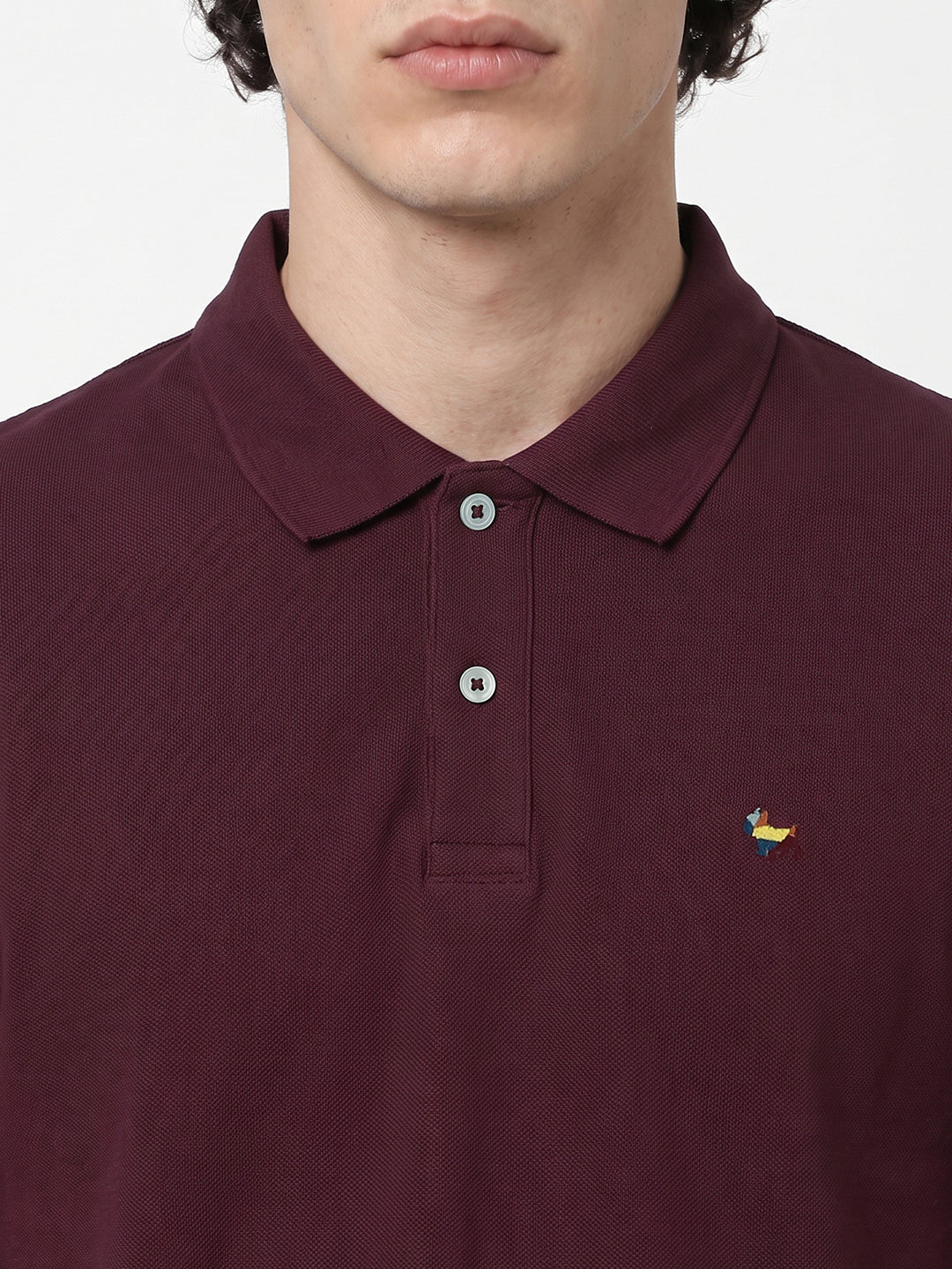 Burgundy Embroidered Polo