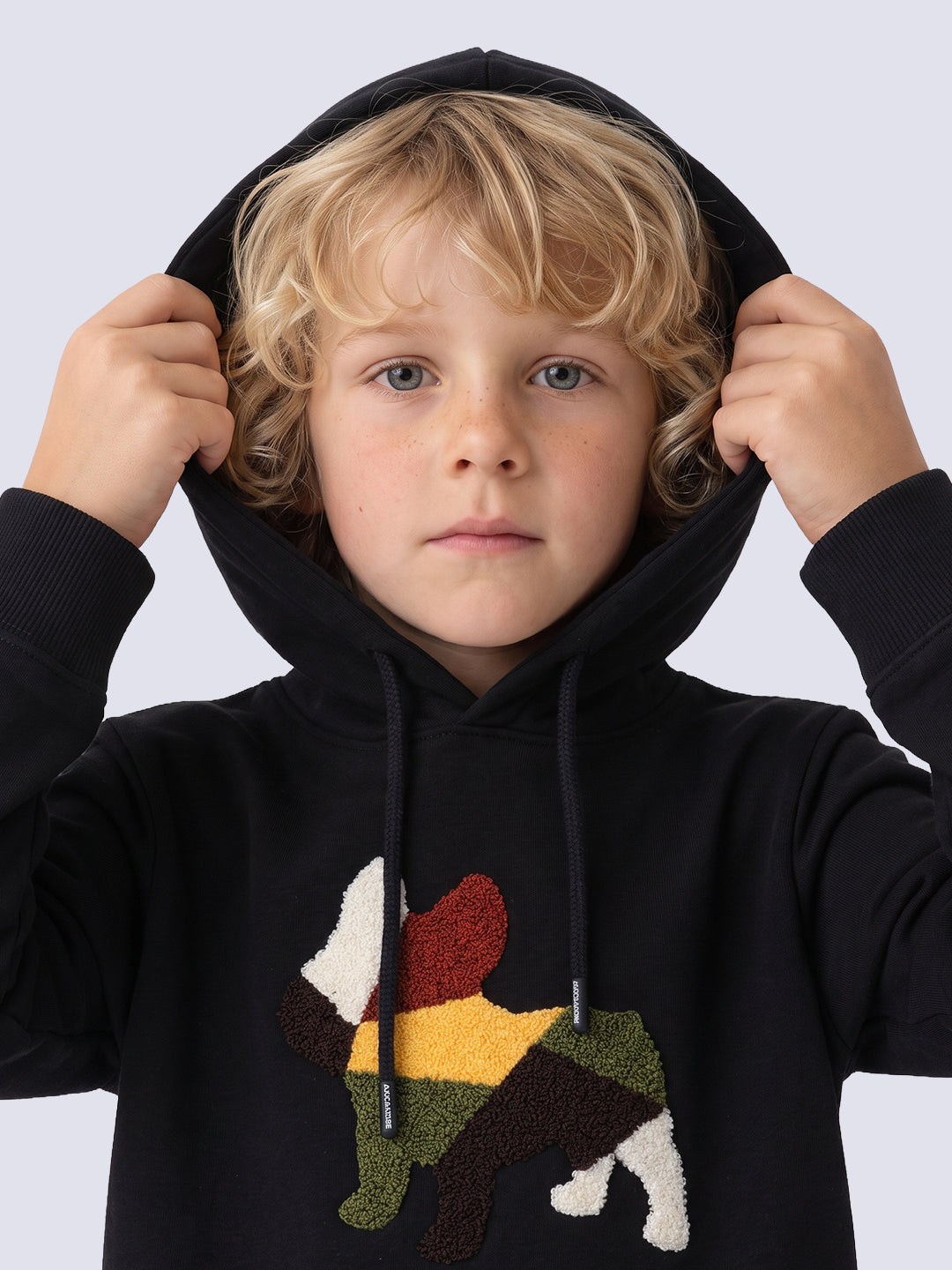 Boys Black Printed Hoodie - 2/3Y