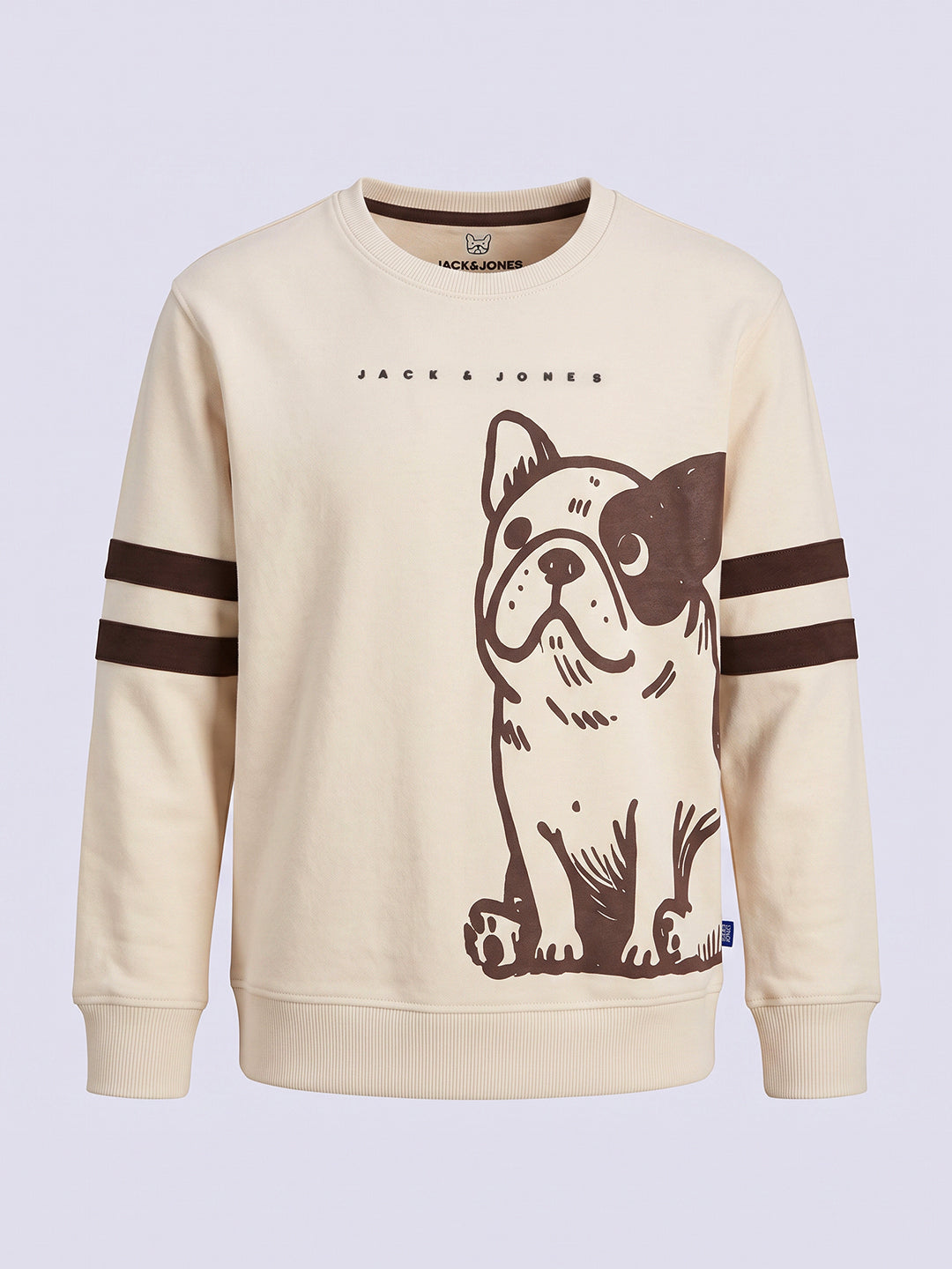 Boys Printed Cotton Sweatshirt
