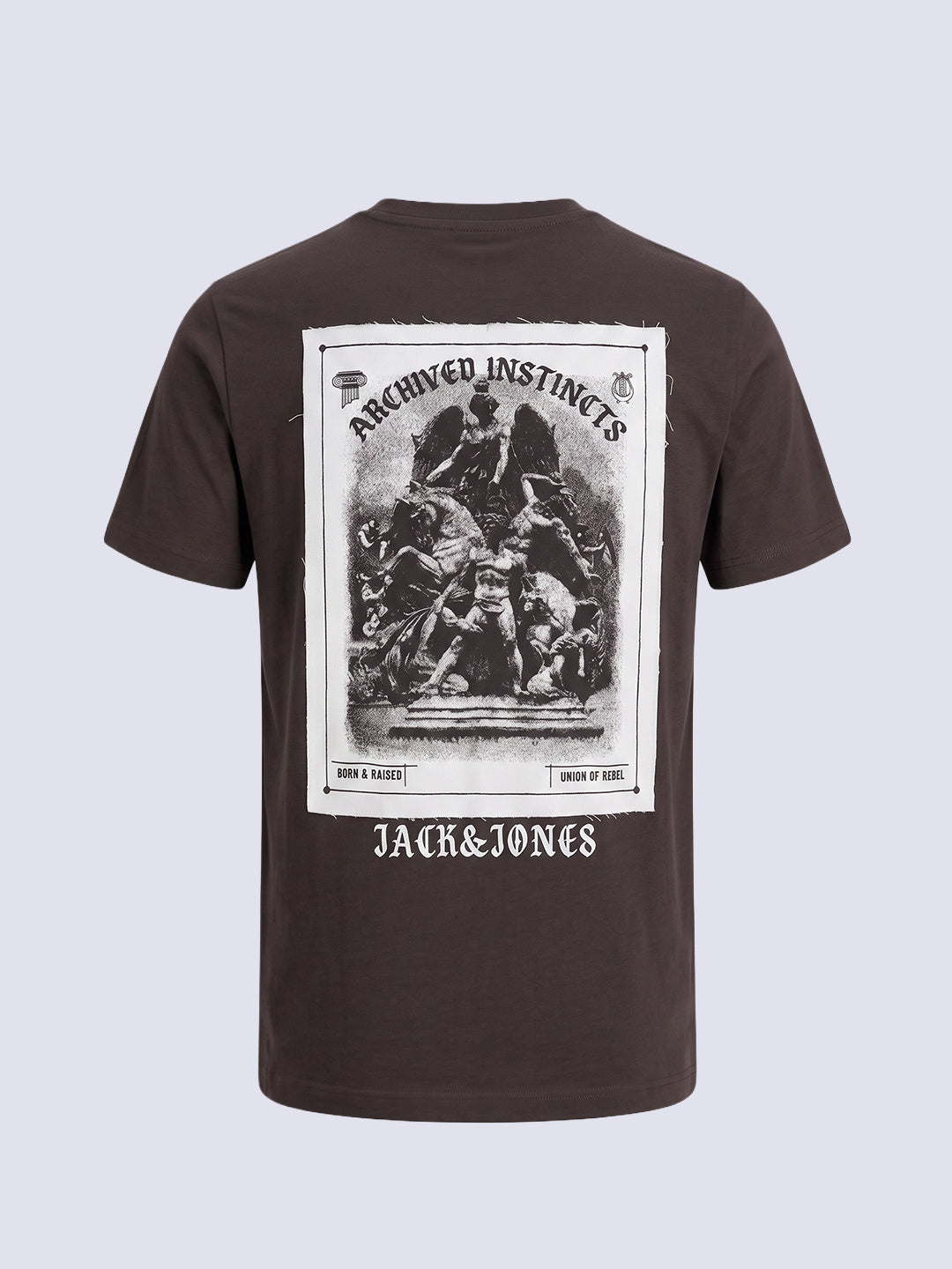 Boys Brown Printed T-shirt